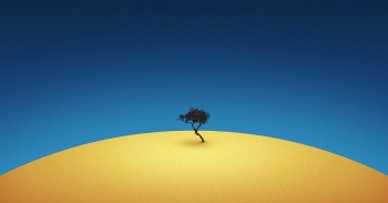 single_tree_in_the_desert_abstract-1600x1200